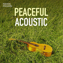 Cover of playlist Peaceful Acoustic