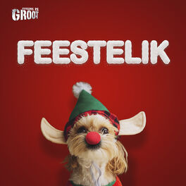 Cover of playlist Feestelik