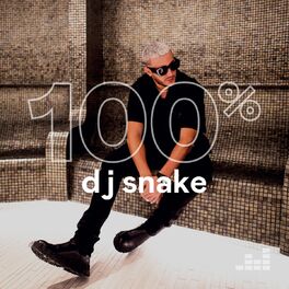 100% DJ Snake