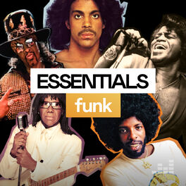 Cover of playlist Funk Essentials