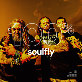 Cover of playlist 100% Soulfly