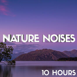 Cover of playlist Nature Noises (10 Hours) Bruits de la nature