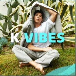 Cover of playlist K Vibes