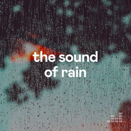 Cover of playlist The Sound of Rain