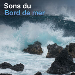 Cover of playlist Sons du bord de mer, des vagues sur la plage