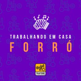 Cover of playlist Trabalhando em Casa: Forró | Home Office: Brazilian Forró