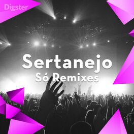 Cover of playlist Sertanejo - Só Remixes