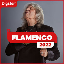 Cover of playlist FLAMENCO 2022 ❤️