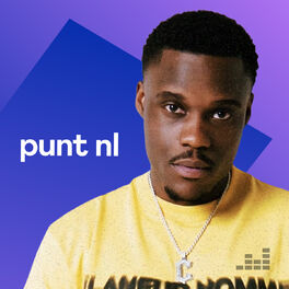 Cover of playlist PUNT NL