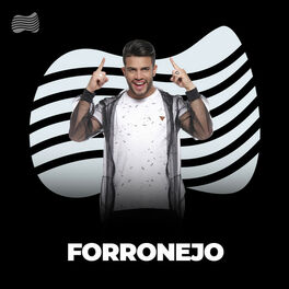 Cover of playlist Forronejo 2022