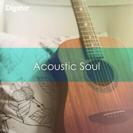Cover of playlist DIGSTER - Acoustic Soul