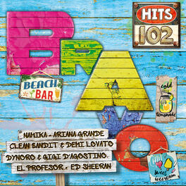 Cover of playlist BRAVO Hits 102