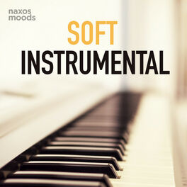 Cover of playlist Soft Instrumental