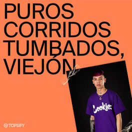 Cover of playlist Puros Corridos Tumbados, Viejón