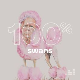 Cover of playlist 100% Swans