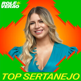 Cover of playlist Top Sertanejo  | Mais Tocadas ​ | Hits Sertanejos