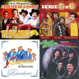Cover of playlist Mix Norteñas Viejitas