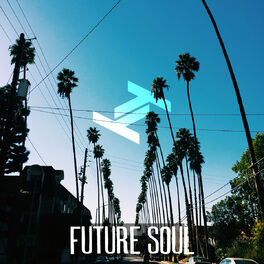 Cover of playlist Tru Thoughts Future Soul