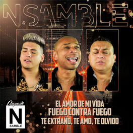 Cover of playlist Lo Mejor de N'Samble / N Samble / NSAMBLE