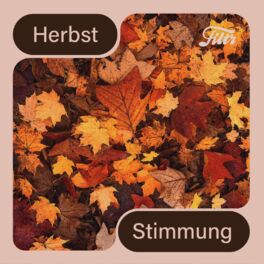 Cover of playlist Herbststimmung 2023 🍂 🌧️