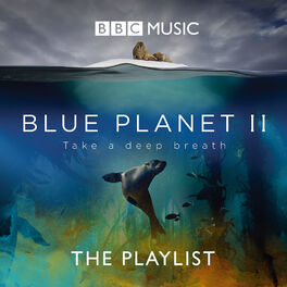 Cover of playlist Blue Planet II (BBC)