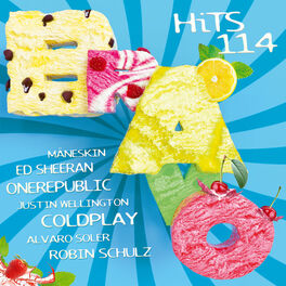 Cover of playlist BRAVO Hits 114