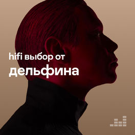 Cover of playlist hifi выбор от Дельфина