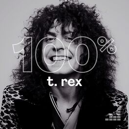 Cover of playlist 100% T. Rex