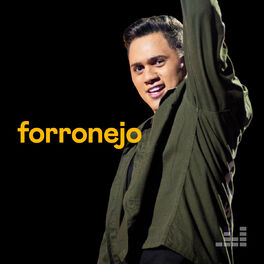 Cover of playlist Forronejo