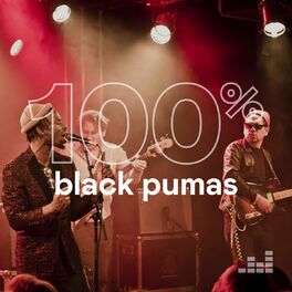 Cover of playlist 100% Black Pumas