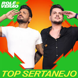Cover of playlist Top Sertanejo  | Mais Tocadas ​ | Hits Sertanejos