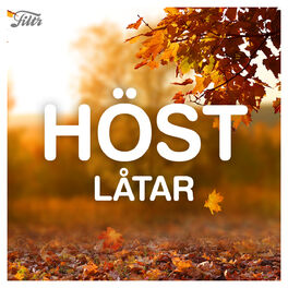 Cover of playlist HÖSTLÅTAR 🍁 lugna låtar