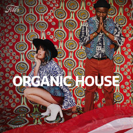 Cover of playlist Organic House: Goldfish, Kygo, The Chainsmokers.