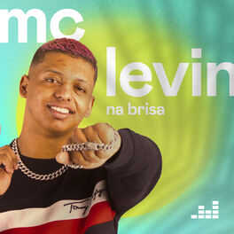 Cover of playlist Na Brisa por MC Levin