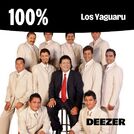 100% Los Yaguaru