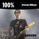 100% Steven Wilson