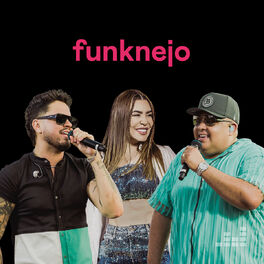 Cover of playlist Funknejo