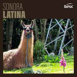Cover of playlist Sonora Latina