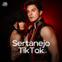 Cover of playlist Sertanejo TikTok 2024 🔥 Atualizado!