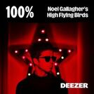 100% Noel Gallagher\'s High Flying Birds