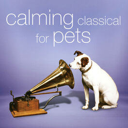 Cover of playlist Calming Classical for Pets