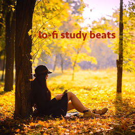 Cover of playlist lo-fi study beats