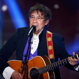 Cover of playlist Les 30 meilleures chansons de Laurent Voulzy