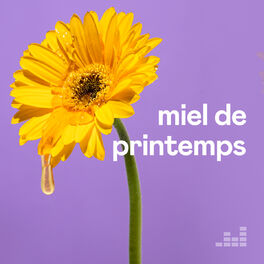 Cover of playlist Miel de printemps 🌞🌸🍯