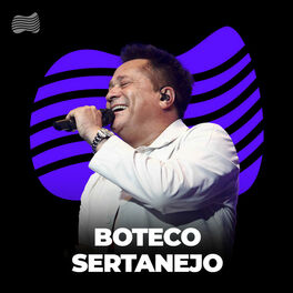 Cover of playlist Boteco Sertanejo 2023