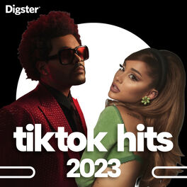 Cover of playlist TikTok Hits 2023