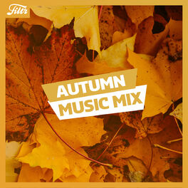 Cover of playlist Autumn Music Mix 🍂 | Seasonal Playlist | FILTR