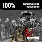 100% Cardenales De Nuevo León