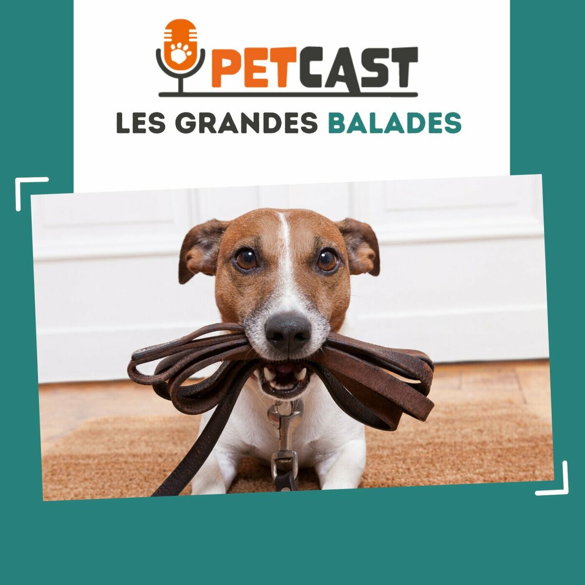 Écoute le podcast Bon baiser du chien | Deezer