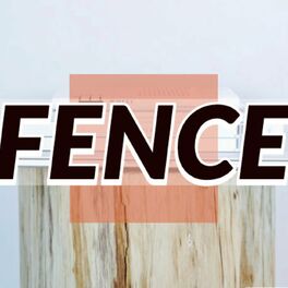 Show cover of FENCE Magazine - Poetry Fiction Essay Other